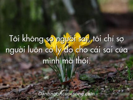 Tôi không sợ người sai, tôi chỉ sợ người luôn có lý do cho cái sai của mình mà thôi.