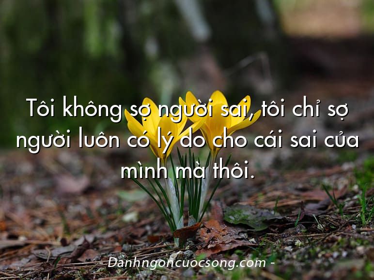 Tôi không sợ người sai, tôi chỉ sợ người luôn có lý do cho cái sai của mình mà thôi.
