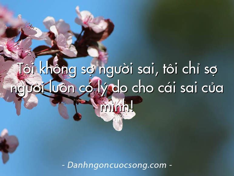 Tôi không sợ người sai, tôi chỉ sợ người luôn có lý do cho cái sai của mình!