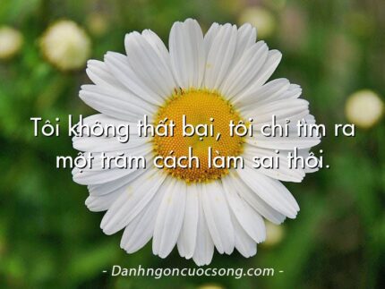 Tôi không thất bại, tôi chỉ tìm ra một trăm cách làm sai thôi.