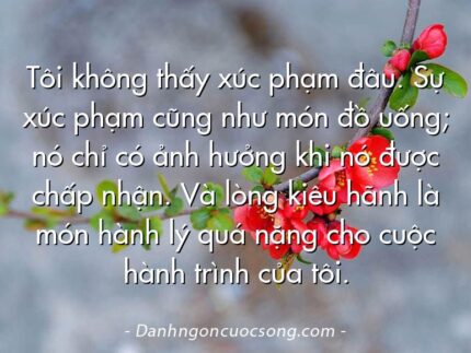 Tôi không thấy xúc phạm đâu. Sự xúc phạm cũng như món đồ uống; nó chỉ có ảnh hưởng khi nó được chấp nhận. Và lòng kiêu hãnh là món hành lý quá nặng cho cuộc hành trình của tôi.