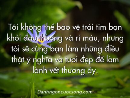 Tôi không thể bảo vệ trái tim bạn khỏi đau thương và rỉ máu, nhưng tôi sẽ cùng bạn làm những điều thật ý nghĩa và tươi đẹp để làm lành vết thương ấy.