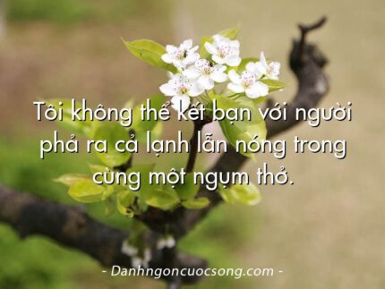 Tôi không thể kết bạn với người phả ra cả lạnh lẫn nóng trong cùng một ngụm thở.