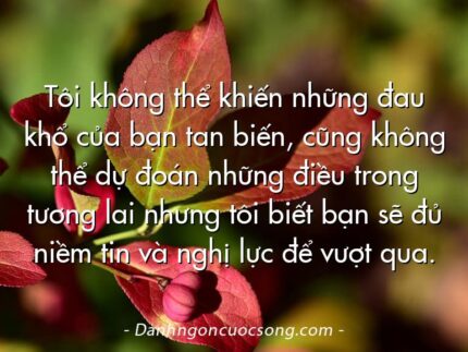 Tôi không thể khiến những đau khổ của bạn tan biến, cũng không thể dự đoán những điều trong tương lai nhưng tôi biết bạn sẽ đủ niềm tin và nghị lực để vượt qua.