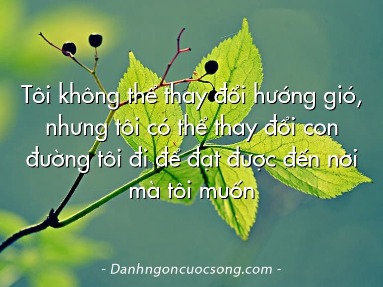 Tôi không thể thay đổi hướng gió, nhưng tôi có thể thay đổi con đường tôi đi để đạt được đến nơi mà tôi muốn