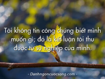 Tôi không tin công chúng biết mình muốn gì; đó là kết luận tôi thu được từ sự nghiệp của mình.