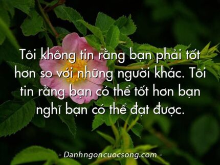 Tôi không tin rằng bạn phải tốt hơn so với những người khác. Tôi tin rằng bạn có thể tốt hơn bạn nghĩ bạn có thể đạt được.