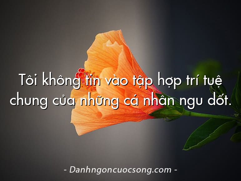 Tôi không tin vào tập hợp trí tuệ chung của những cá nhân ngu dốt.
