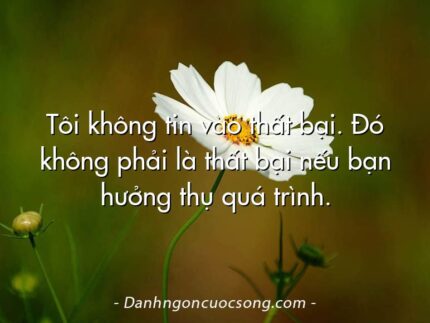 Tôi không tin vào thất bại. Đó không phải là thất bại nếu bạn hưởng thụ quá trình.