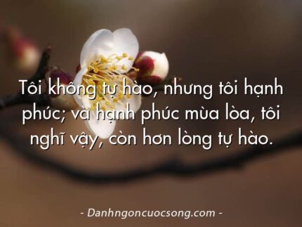 Tôi không tự hào, nhưng tôi hạnh phúc; và hạnh phúc mùa lòa, tôi nghĩ vậy, còn hơn lòng tự hào.