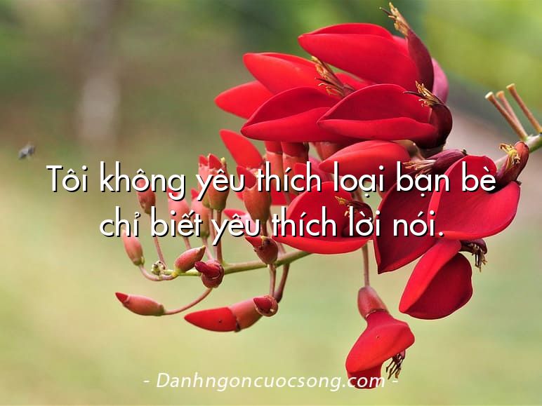 Tôi không yêu thích loại bạn bè chỉ biết yêu thích lời nói.
