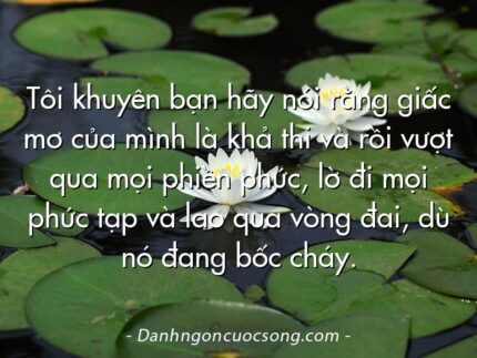 Tôi khuyên bạn hãy nói rằng giấc mơ của mình là khả thi và rồi vượt qua mọi phiền phức, lờ đi mọi phức tạp và lao qua vòng đai, dù nó đang bốc cháy.
