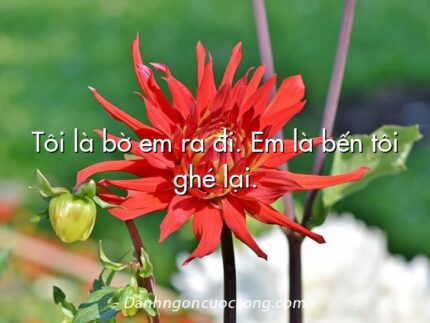 Tôi là bờ em ra đi. Em là bến tôi ghé lại.