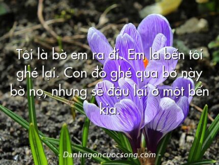Tôi là bờ em ra đi. Em là bến tôi ghé lại. Con đò ghé qua bờ này bờ nọ, nhưng sẽ đậu lại ở một bến kia.