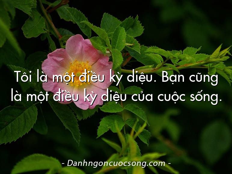 Tôi là một điều kỳ diệu. Bạn cũng là một điều kỳ diệu của cuộc sống.