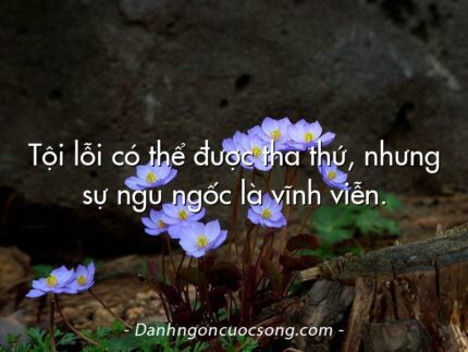 Tội lỗi có thể được tha thứ, nhưng sự ngu ngốc là vĩnh viễn.