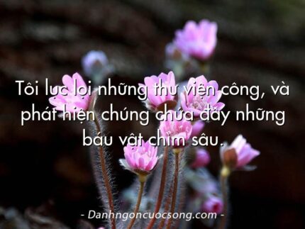 Tôi lục lọi những thư viện công, và phát hiện chúng chứa đầy những báu vật chìm sâu.