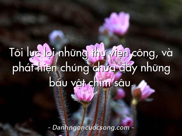 Tôi lục lọi những thư viện công, và phát hiện chúng chứa đầy những báu vật chìm sâu.