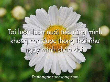 Tôi luôn luôn nuối tiếc rằng mình không còn được thông thái như ngày mình chào đời.