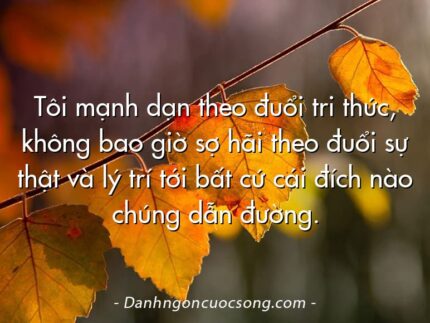 Tôi mạnh dạn theo đuổi tri thức, không bao giờ sợ hãi theo đuổi sự thật và lý trí tới bất cứ cái đích nào chúng dẫn đường.