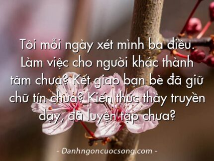 Tôi mỗi ngày xét mình ba điều. Làm việc cho người khác thành tâm chưa? Kết giao bạn bè đã giữ chữ tín chưa? Kiến thức thầy truyền dạy, đã luyện tập chưa?