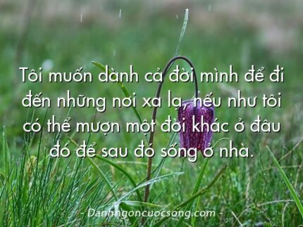 Tôi muốn dành cả đời mình để đi đến những nơi xa lạ, nếu như tôi có thể mượn một đời khác ở đâu đó để sau đó sống ở nhà.