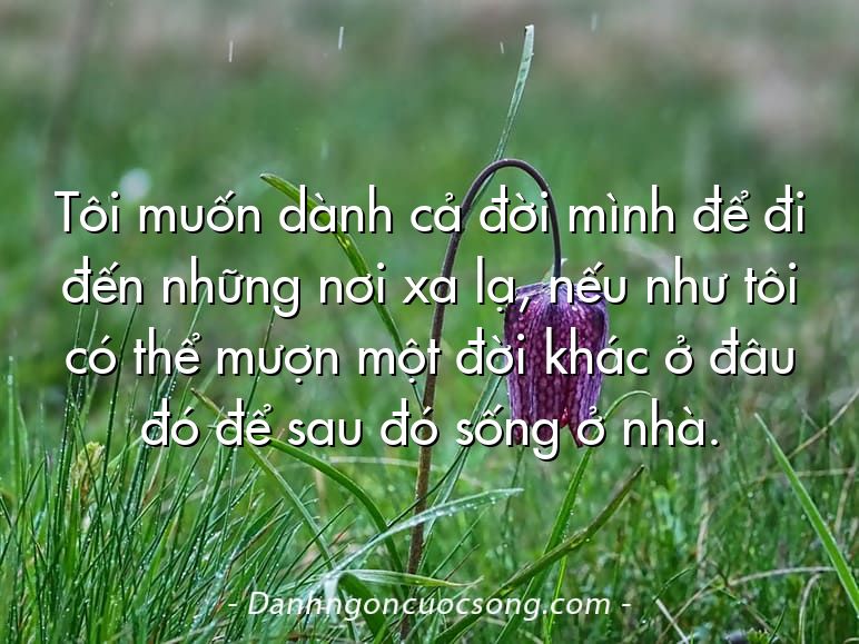 Tôi muốn dành cả đời mình để đi đến những nơi xa lạ, nếu như tôi có thể mượn một đời khác ở đâu đó để sau đó sống ở nhà.