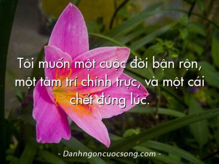 Tôi muốn một cuộc đời bận rộn, một tâm trí chính trực, và một cái chết đúng lúc.