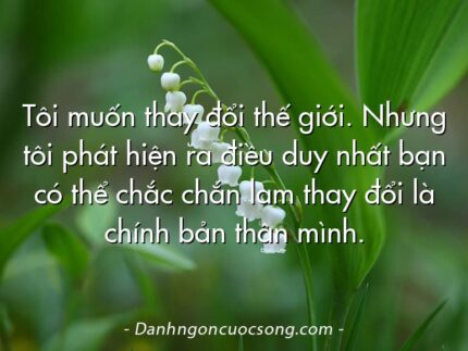 Tôi muốn thay đổi thế giới. Nhưng tôi phát hiện ra điều duy nhất bạn có thể chắc chắn làm thay đổi là chính bản thân mình.