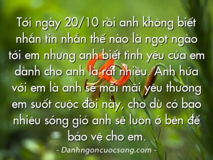 Tới ngày 20/10 rồi anh không biết nhắn tin nhắn thế nào là ngọt ngào tới em nhưng anh biết tình yêu của em dành cho anh là rất nhiều. Anh hứa với em là anh sẽ mãi mãi yêu thương em suốt cuộc đời này, cho dù có bao nhiêu sóng gió anh sẽ luôn ở bên để bảo vệ cho em.