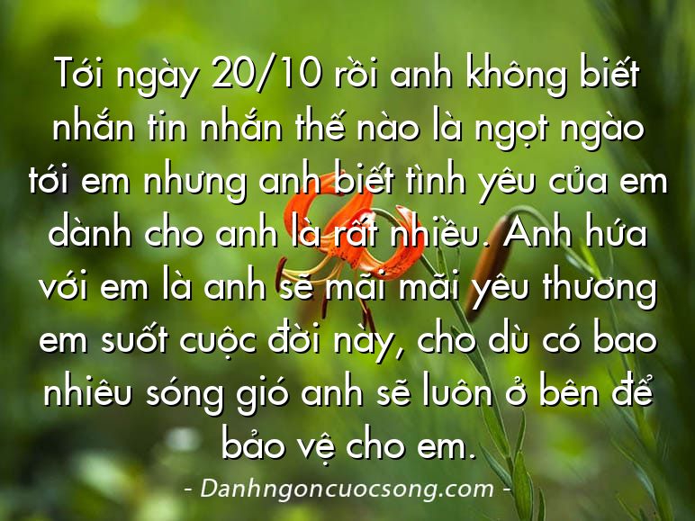 Tới ngày 20/10 rồi anh không biết nhắn tin nhắn thế nào là ngọt ngào tới em nhưng anh biết tình yêu của em dành cho anh là rất nhiều. Anh hứa với em là anh sẽ mãi mãi yêu thương em suốt cuộc đời này, cho dù có bao nhiêu sóng gió anh sẽ luôn ở bên để bảo vệ cho em.