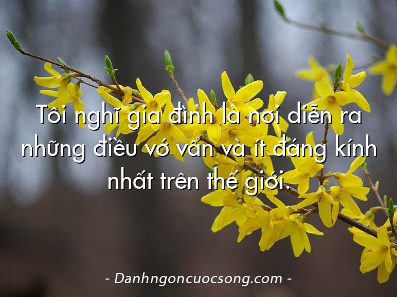Tôi nghĩ gia đình là nơi diễn ra những điều vớ vẩn và ít đáng kính nhất trên thế giới.