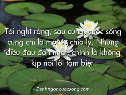 Tôi nghĩ rằng, sau cùng, cuộc sống cũng chỉ là một sự chia ly. Nhưng điều đau đớn nhất, chính là không kịp nói lời tạm biệt.