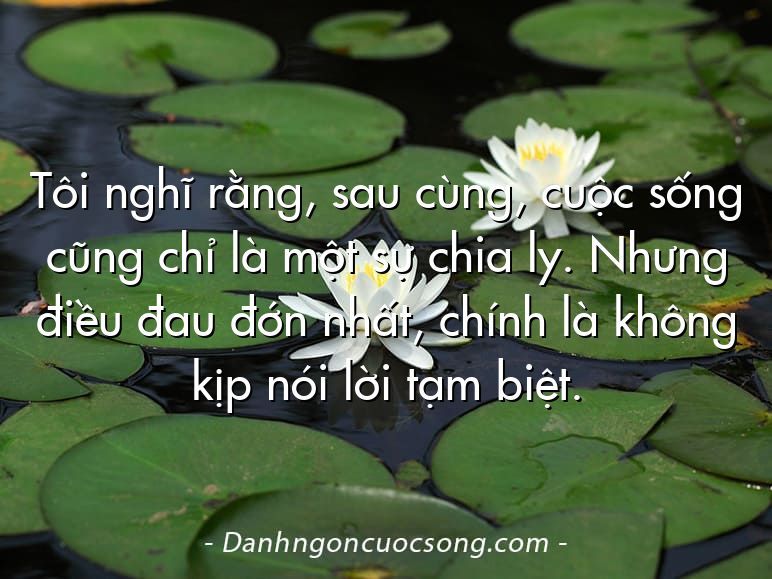 Tôi nghĩ rằng, sau cùng, cuộc sống cũng chỉ là một sự chia ly. Nhưng điều đau đớn nhất, chính là không kịp nói lời tạm biệt.