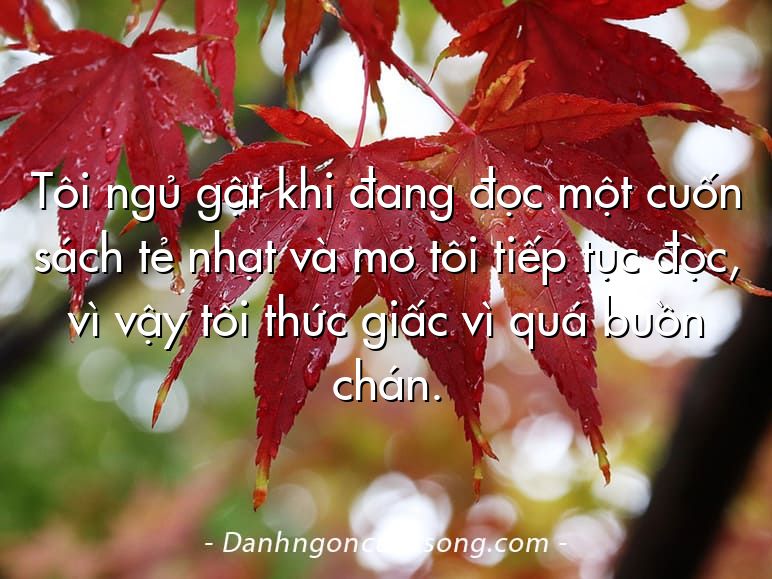 Tôi ngủ gật khi đang đọc một cuốn sách tẻ nhạt và mơ tôi tiếp tục đọc, vì vậy tôi thức giấc vì quá buồn chán.