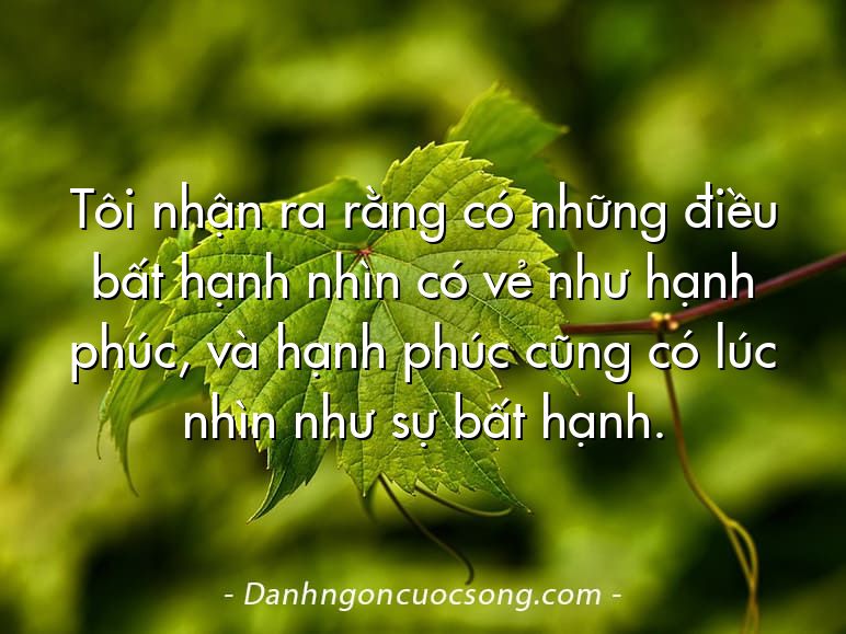 Tôi nhận ra rằng có những điều bất hạnh nhìn có vẻ như hạnh phúc, và hạnh phúc cũng có lúc nhìn như sự bất hạnh.