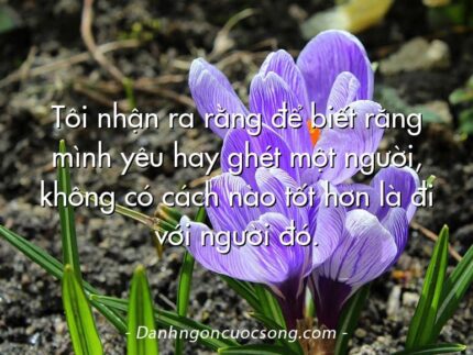 Tôi nhận ra rằng để biết rằng mình yêu hay ghét một người, không có cách nào tốt hơn là đi với người đó.
