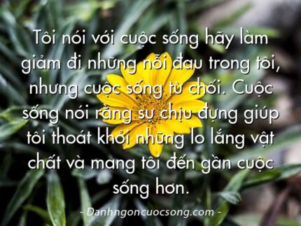 Tôi nói với cuộc sống hãy làm giảm đi những nỗi đau trong tôi, nhưng cuộc sống từ chối. Cuộc sống nói rằng sự chịu đựng giúp tôi thoát khỏi những lo lắng vật chất và mang tôi đến gần cuộc sống hơn.