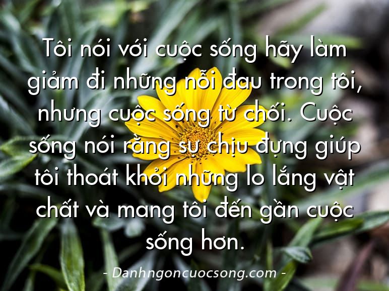 Tôi nói với cuộc sống hãy làm giảm đi những nỗi đau trong tôi, nhưng cuộc sống từ chối. Cuộc sống nói rằng sự chịu đựng giúp tôi thoát khỏi những lo lắng vật chất và mang tôi đến gần cuộc sống hơn.