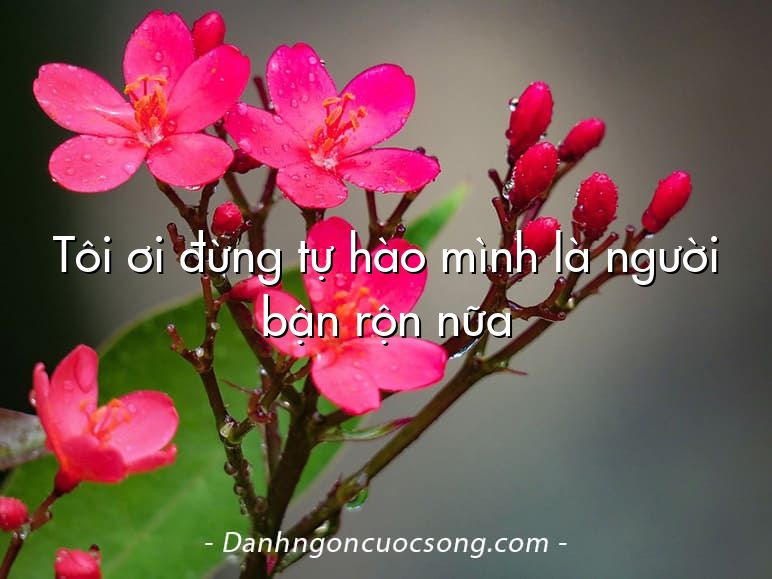 Tôi ơi đừng tự hào mình là người bận rộn nữa