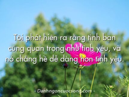 Tôi phát hiện ra rằng tình bạn cũng quan trọng như tình yêu, và nó chẳng hề dễ dàng hơn tình yêu.