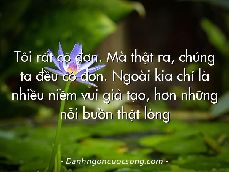 Tôi rất cô đơn. Mà thật ra, chúng ta đều cô đơn. Ngoài kia chỉ là nhiều niềm vui giả tạo, hơn những nỗi buồn thật lòng