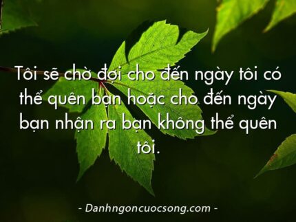 Tôi sẽ chờ đợi cho đến ngày tôi có thể quên bạn hoặc cho đến ngày bạn nhận ra bạn không thể quên tôi.