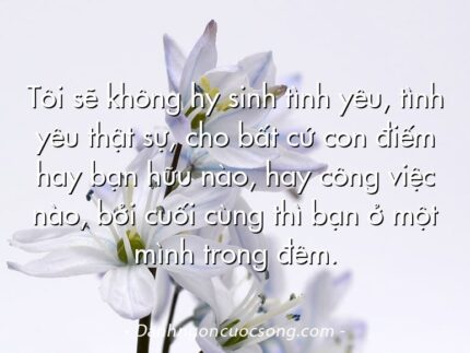 Tôi sẽ không hy sinh tình yêu, tình yêu thật sự, cho bất cứ con điếm hay bạn hữu nào, hay công việc nào, bởi cuối cùng thì bạn ở một mình trong đêm.