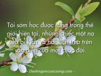 Tôi sớm học được rằng trong thế giới hiện tại, những chiếc mặt nạ của bi kịch và hài kịch treo trên sàn diễn của mọi cuộc đời.