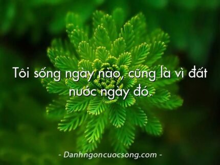 Tôi sống ngày nào, cũng là vì đất nước ngày đó.