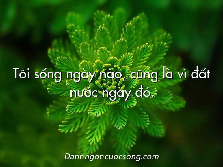 Tôi sống ngày nào, cũng là vì đất nước ngày đó.