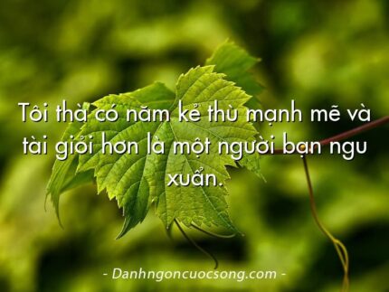 Tôi thà có năm kẻ thù mạnh mẽ và tài giỏi hơn là một người bạn ngu xuẩn.