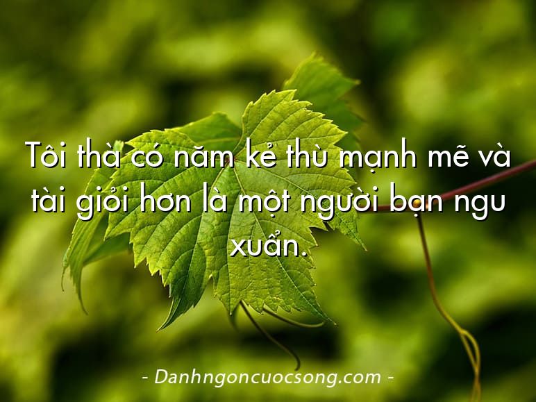Tôi thà có năm kẻ thù mạnh mẽ và tài giỏi hơn là một người bạn ngu xuẩn.