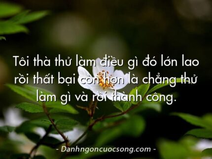 Tôi thà thử làm điều gì đó lớn lao rồi thất bại còn hơn là chẳng thử làm gì và rồi thành công.